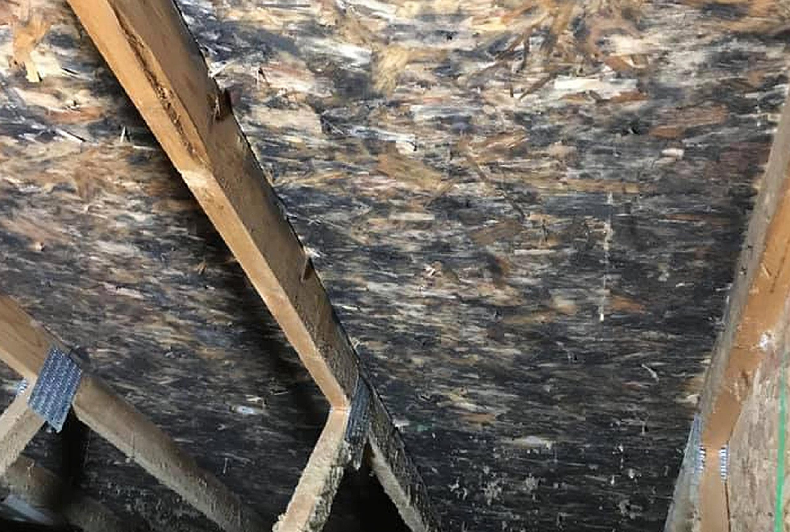 mold remediation in an office wall